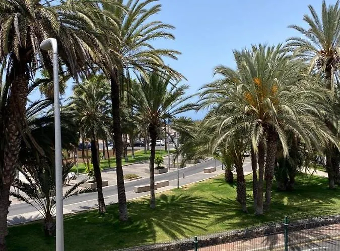 Piteras * Playa de las Americas (Tenerife)