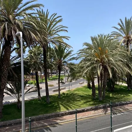 Piteras * 플라야데라스아메리카스